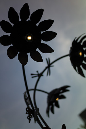 Carefully Wrought Garden