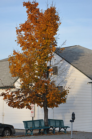 West Concord, MA Supermarket
