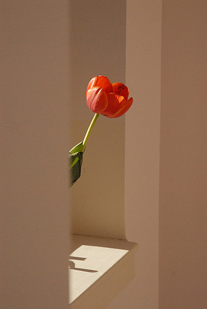 Flamingo Memento II