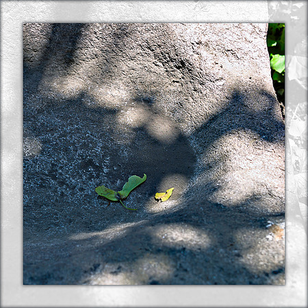 15-June-2012 Seed of Doubt (Estimation)