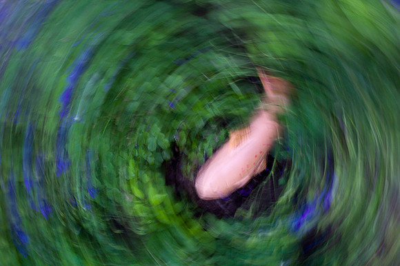 14-June-2012 Blue River Garden (Imagination)
