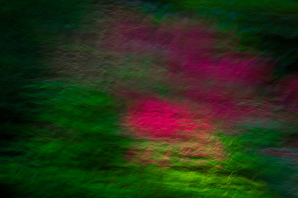 10-July-2012 Palette Study: Astilbe (Common Sense)